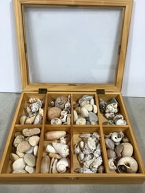 Wooden organizer box full of shells