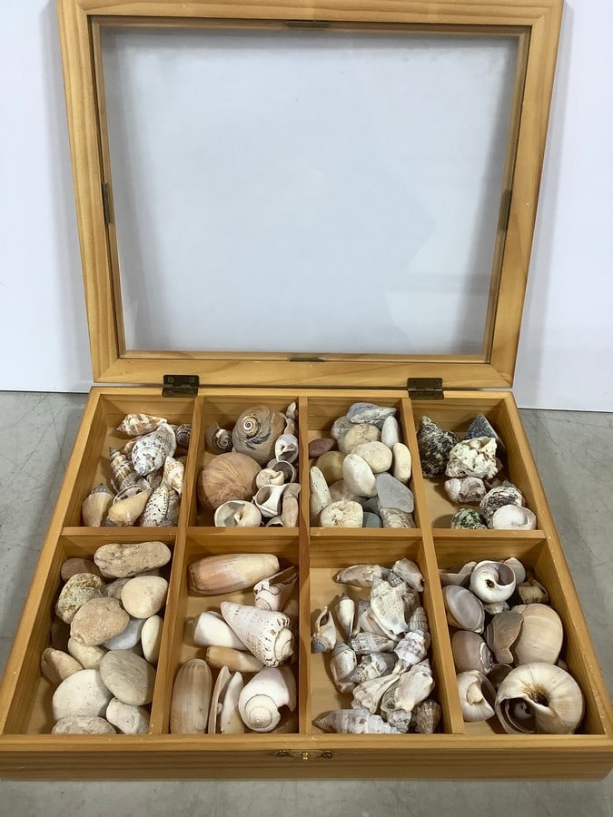 Wooden organizer box full of shells (1 of 1)