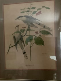 signed ray hom yellow build cockatoo artwork 24x20