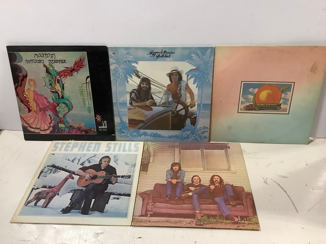 Vintage LP Record Lot (Allman, Brothers, Mountain, and more) (1 of 1)