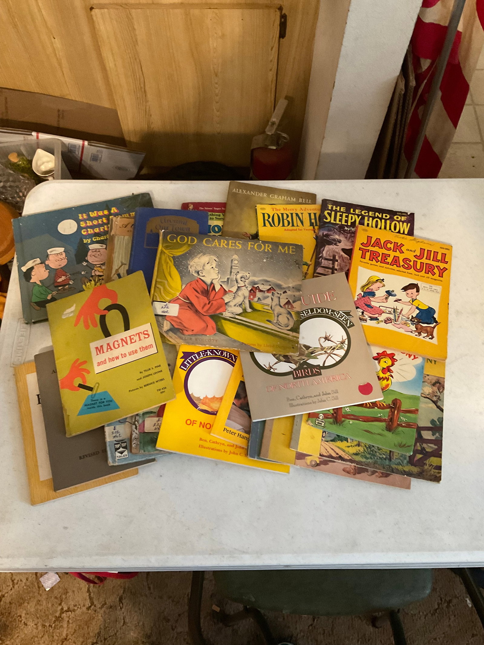 lot of vintage children's books: lot of vintage children's books