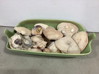 Decorative shells in ceramic bowl(16.5in.long)