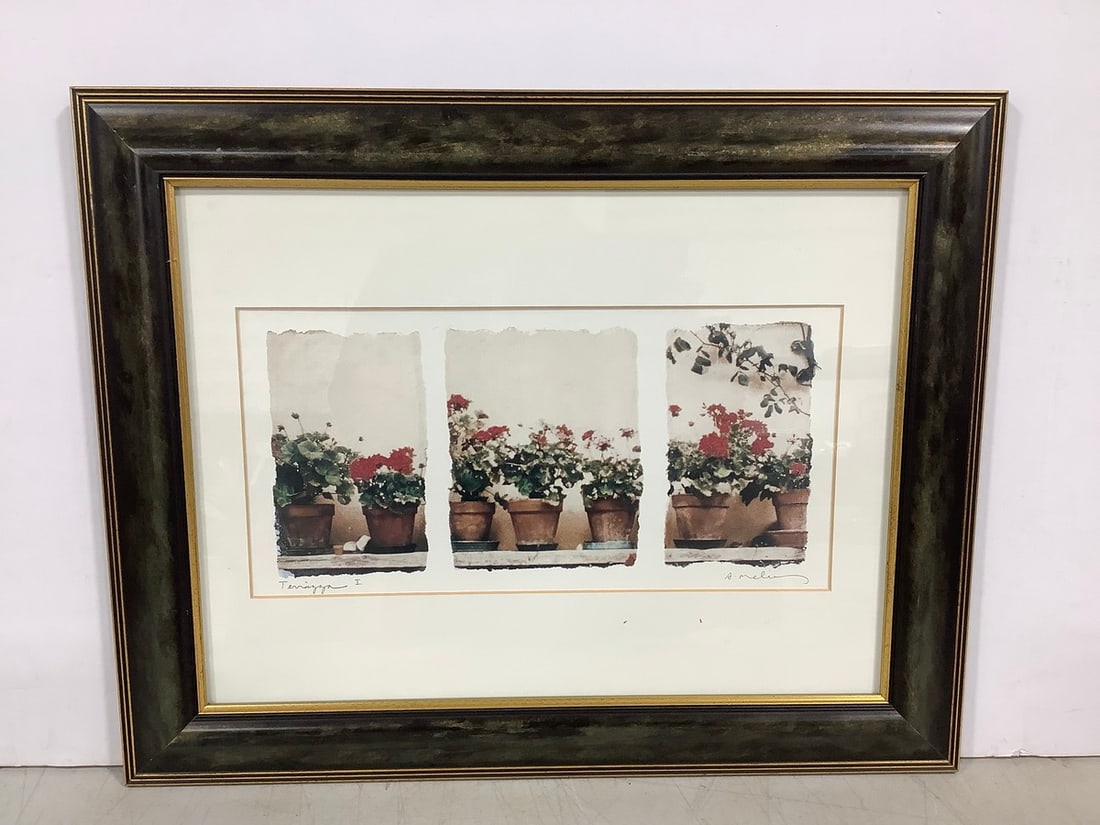 Framed and signed artwork(16in.x20in.): Framed and signed artwork(16in.x20in.)