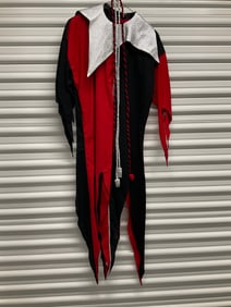 Custom made Jester costume