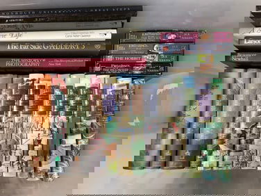 Various books(Harry Potter, Lord of the Rings, and more)