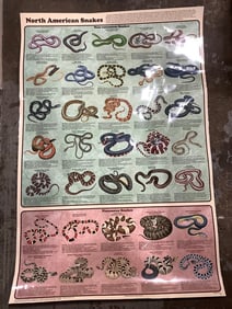 North American snakes laminated poster(24in.x36in.)
