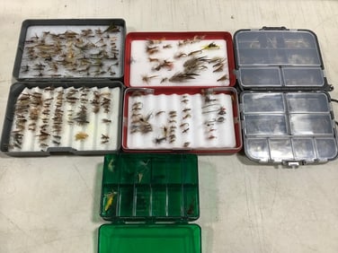 Fishing flies with case organizers