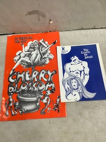 Vintage Original 1970's XXX Movie Posters