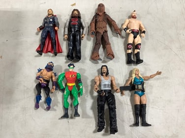 Various action figures(Thor, Robin, and more)