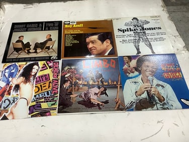 Vintage records(Bobby Vinton, Roy Acuff, The Spike Jones Show, and more)