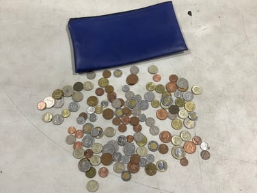 Foreign coins