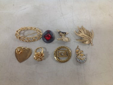 Various pins/brooches