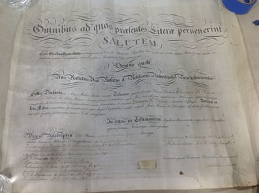Historical Antique Document (22inx26in)