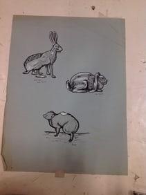 Rabbit artwork(18inx24in)