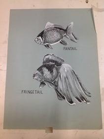 Fantail/Fringetail artwork(18inx24in)