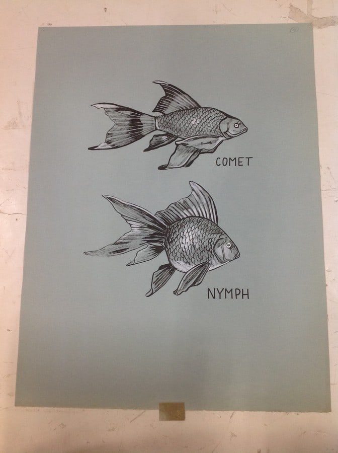 Comet/Nymph Art artwork(18inx24in): Comet/Nymph Art artwork(18inx24in)