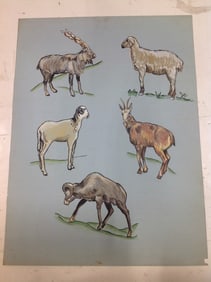 Goat artwork(18inx24in)