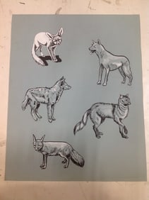 Animals artwork(17inx21in)