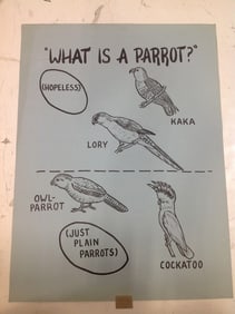 What is a Parrot? artwork(18inx24in)