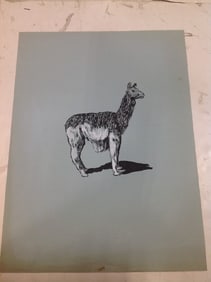 Llama artwork(18inx24in)