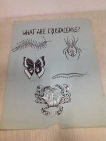 What are the Crustaceans artwork(18in.x24in.)