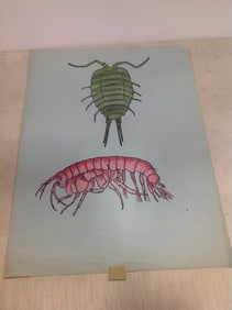 Under the sea animals artwork(18in.x24in.)