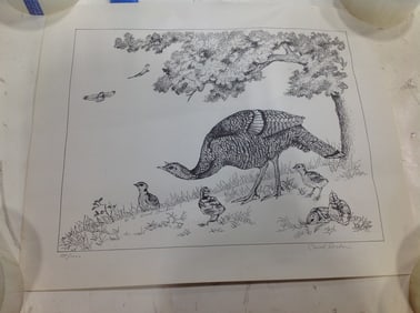 Wild Turkey art print signed Carol Decker(14in.x17in.)