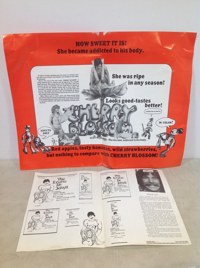 Vintage Original 1970s XXX Fold Out Movie Theatre Posters: Vintage Original 1970s XXX Fold Out Movie Theatre Posters
