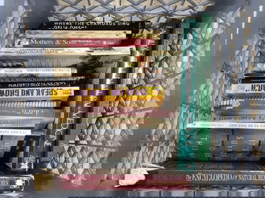 Various books(God in the Garden, Where the Crawdads Sing, and more)