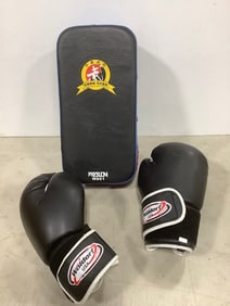 Woldorf boxing gloves(11) and