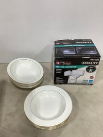 Utilitech Pro security light and plates/bowls