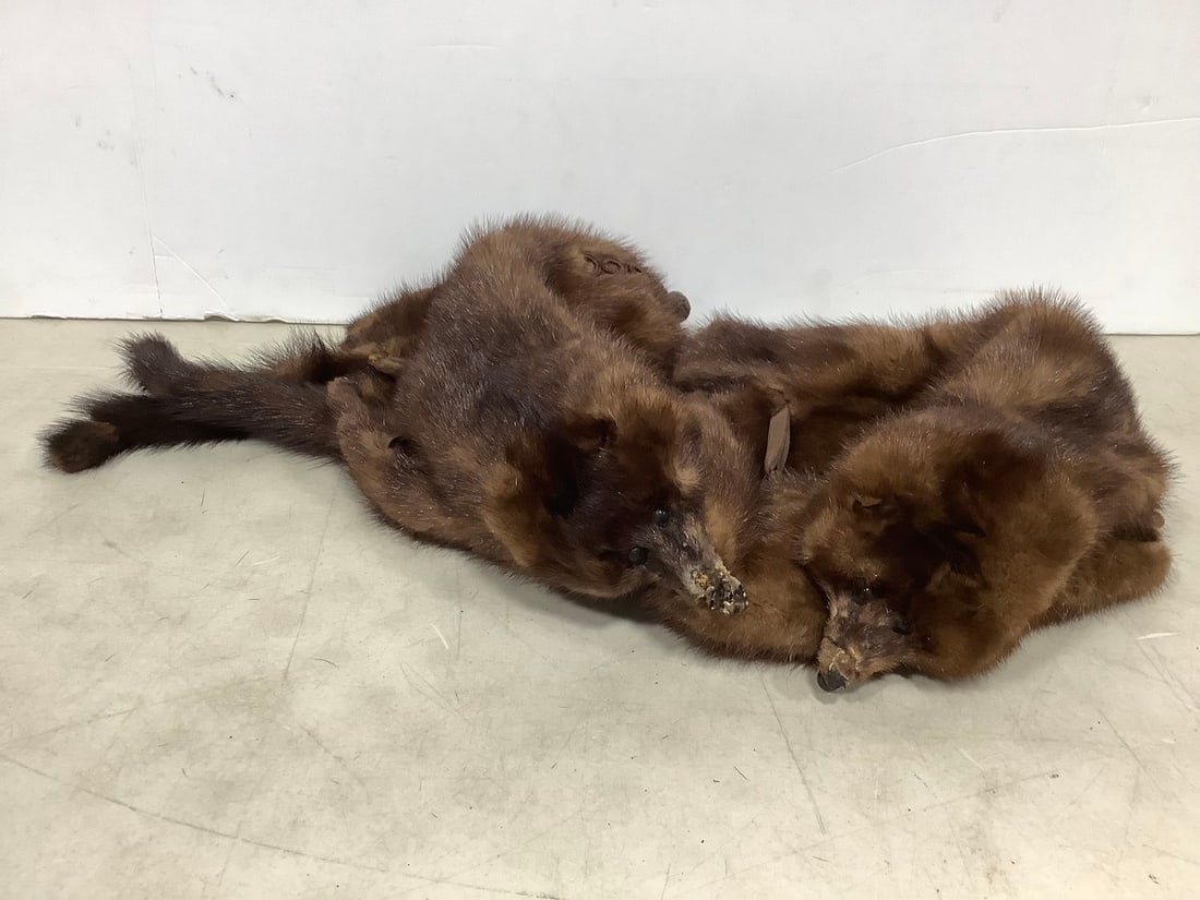 Vintage Mink Scarf (1 of 1)