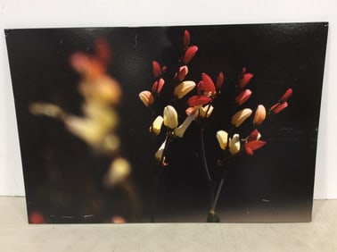 Floral print(16in.x24in.)