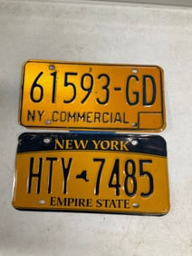 Lot of 2 New York license plates