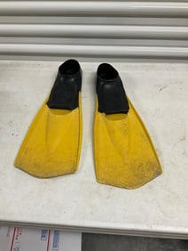 Pair of swimming flippers