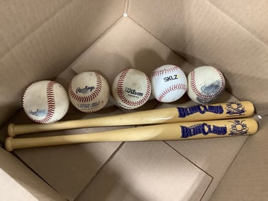 Blueclaws bats and baseballs