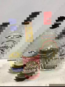 Various alcohol-different amounts in each(Seagram's extra dry gin, Sloe Gin, and Bombay Dry Gin)