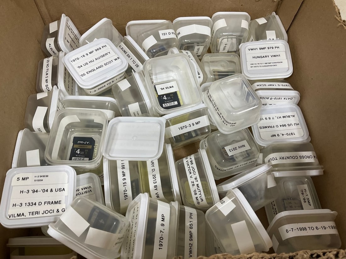 Various SD Cards (1 of 1)