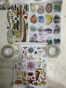 Minerals, Plumes and Oceanographie Decorative Posters(11inx14in)