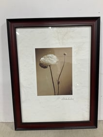 Framed and Signed Photographic Print (14inx18in)