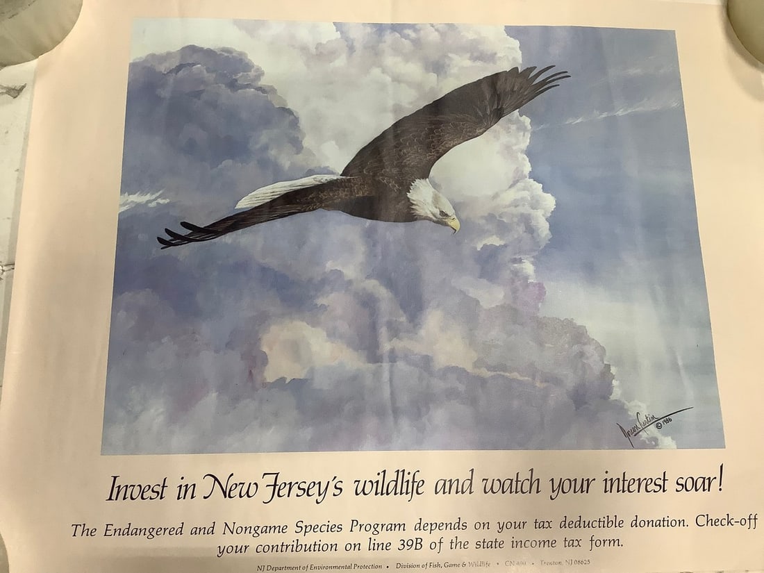 NJ Wildlife Art Print (17inx22in): NJ Wildlife Art Print (17inx22in)