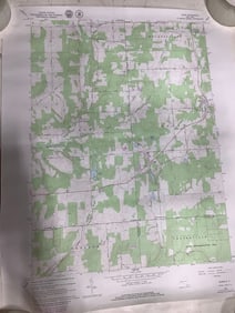 Bliss Quadrangle New York Geological Survey (22inx27in)