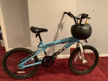 Corruption Avigo bike and Pro Tec helmet