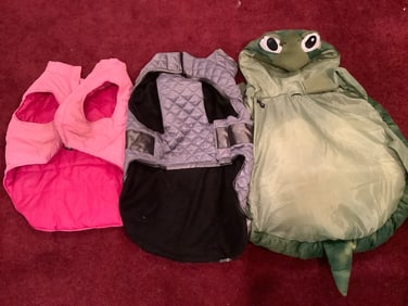 Pet apparel(dog turtle costume and dog clothing)