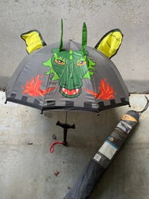 Kids umbrella and frost/snow windshield cover