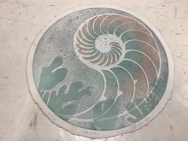 Shell Artwork (20in Across)