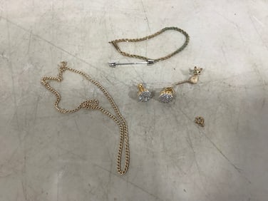Clip on earrings, pin, necklace, and more
