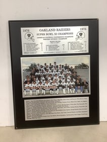 1976 Oakland Raiders Super Bowl XI Champions Plaque (13inx16in)