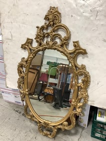 Vintage Mirror (29inx50in)