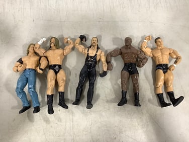WWE and JAKKS wrestling action figures